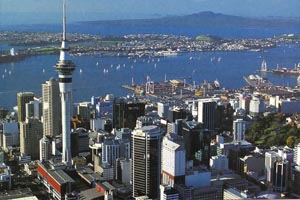 Real estate remains a force as the Fed awakens